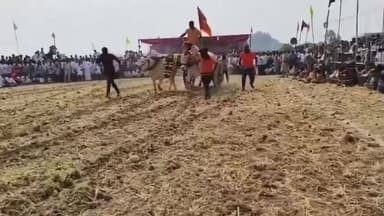 ఎమ్మిగనూరు: ఎమ్మిగనూరు మండలం గుడికల్ గ్రామంలో సంక్రాంతి సందర్భంగా ఎద్దుల గిరక లాగుడు పోటీలు