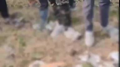 केळापूर: सिमेंट घेऊन जाणाऱ्या भरधाव ट्रकची दुचाकीला धडक,दोघांचा जागीच मृत्यू तरुणी गंभीर जखमी, उमरी गावाजवळ घटना