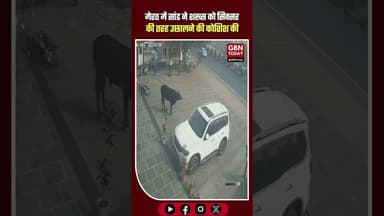 मेरठ: 'सिक्सर' की तरह शख्स को हवा में उछालने चला था सांड #Meerut #BullAttack #ViralVideo