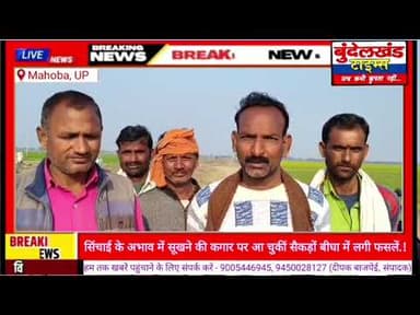 #महोबा - सिंचाई के लिए हुक्मरानों के चक्कर लगा रहे किसान.! नहर में पानी न आने से सूख रहीं फसलें...