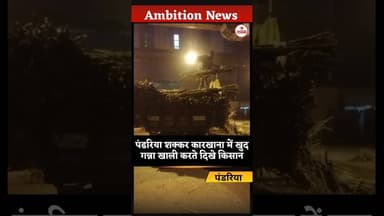 पंडरिया शक्कर कारखाना में खुद गन्ना खाली करते दिखे किसान // #shorts #kawardhanews