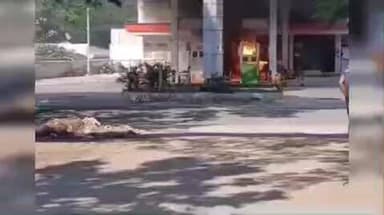 திருப்பூர் தெற்கு: பாரபாளையம் பகுதியில் உள்ள பெட்ரோல் பங்கில் பெட்ரோல் பம்ப்பில் தீப்பிடித்து எறிந்ததால் பரபரப்பு ஏற்பட்டது