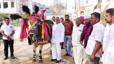 రాయికల్: బస్వన్న నృత్యాలతో సంక్రాంతి పండుగ వేడుకలలో మాజీ మంత్రి జీవన్ రెడ్డి