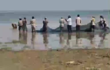 అలంపూర్: గొందిమల్ల పుస్కార ఘాట్ లో అక్రమంగా అంధ్రప్రదేశ్ కు తరలిస్తున్న చేపలు..పట్టించుకొని అధికారులు