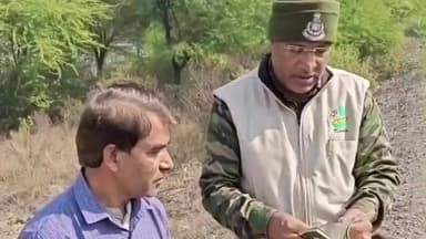 गुलाना: अकोदिया में जंगली जानवर का आतंक, दो कुत्तों का शिकार, वन विभाग चीता या लकड़बग्घे की पहचान करने में जुटा