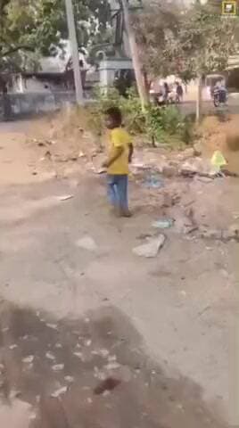 పిట్లం: పిట్లంలో నింగిలో పతంగుల హోరు, తెగిపోయిన పతంగుల కోసం నేలపై పరుగులు తీస్తున్న చిన్నారులు