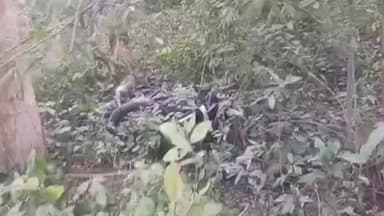 ଖଲ୍ଲିକୋଟ୍: ମୁକୁନ୍ଦପୁର ଛକରେ ଦୁର୍ଘଟଣା ; ଭାରସାମ୍ୟ ହରାଇ ଗଛକୁ ପିଟିଲା ବାଇକ, ଦୁଇ ମୃତ