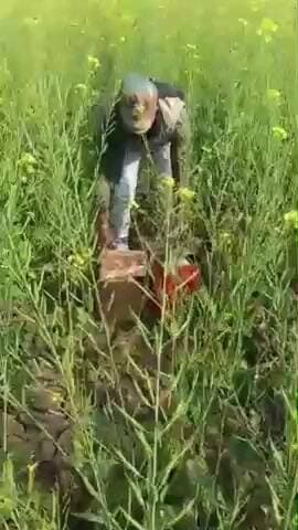 घाट कुसुंभा: कोरमा थाना क्षेत्र में अवैध शराब के खिलाफ कार्रवाई, 965 लीटर अर्द्धनिर्मित शराब नष्ट