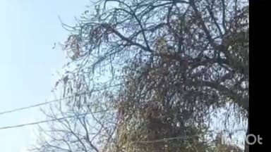 सोरांव: रास्ते के विवाद को लेकर गाली-गलौज व जान से मारने की धमकी का आरोप, तहरीर दी गई