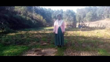 बानो: बेड़ाईरगी सुमिनबेड़ा गांव में जंगली हाथी ने पांच किसानों की फसलें बर्बाद कीं, मुआवज़े की मांग