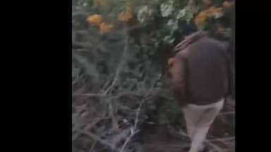 शिवपुरी: देहात थाना क्षेत्र के NH-46 पर झंडियों में मिला नर कंकाल, बाइक भी बरामद