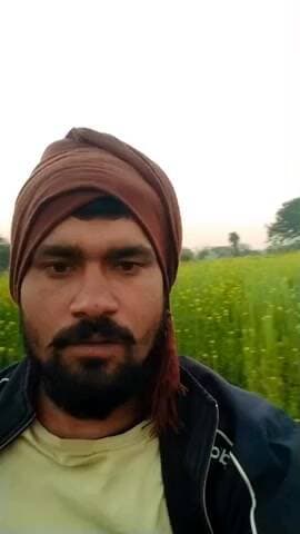 #सरसों के रंग#
mithilesh #Short #video#