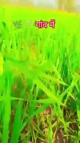 यूट्यूब पर जाकर सब्सक्राइब करो
सुमित राज 2333