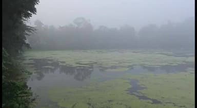 நாகப்பட்டினம்: மாவட்டத்தில் கடும் பனிப்பொழிவு: விவசாய நிலங்கள் பனிப்போர்வைப் போர்த்தியது போன்று காட்சியளிப்பு*