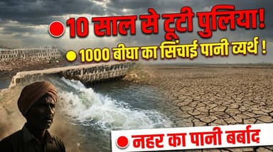 नैन्याखेड़ी में 10 साल से टूटी नहर पुलिया, तीन माह का सिंचाई जल व्यर्थ, 1000 बीघा खेत प्रभावित
#10year #kisanprotest #pa...