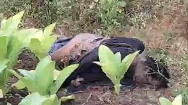 కొరిశపాడు మండలంలోని 16 నంబరు జాతీయ రహదారి పక్కన గుర్తుతెలియని మహిళ మృతదేహం, దర్యాప్తు చేస్తున్న పోలీసులు