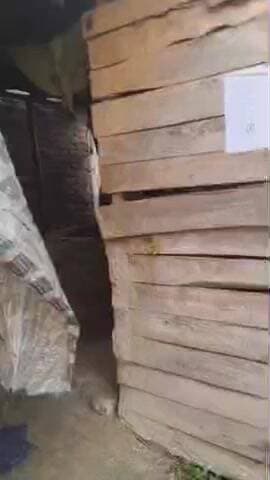 पिपराही: पिपराही के अम्बाकला गांव में अभियुक्त के घर की हुई कुर्की-जप्ती