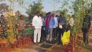 తాడ్వాయి: మేడారంలో ఆలయ ప్రాంగణాన్ని పచ్చదనంగా సుందరీకరించాలి : మంత్రి పొంగులేటి శ్రీనివాస్ రెడ్డి