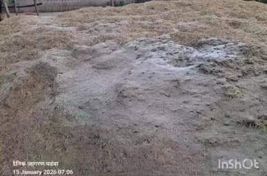 पड़वा: कोकरसा में ठंड से हुई बर्फबारी