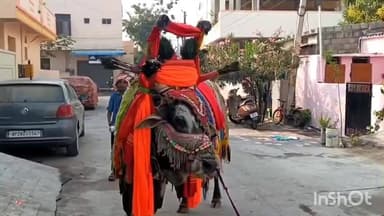 తిమ్మాపూర్ ఎల్ఎండీ కాలనీ: కరీంనగర్ లో సందడి చేసిన గంగిరెద్దుల విన్యాసాలు డోలు సన్నాయి వాయిద్యాలకు అనుగుణంగా బసవన్న నృత్యాలు