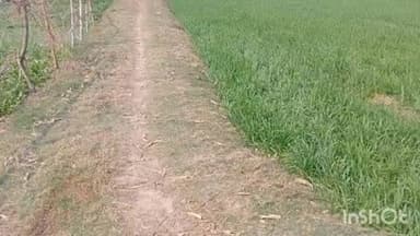 धनघटा: काली जगदीशपुर में मनरेगा परियोजना पर गड़बड़ी का आरोप, बीडीओ ने जांच का आश्वासन दिया