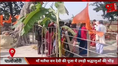 #पालोजोरी : #माँ #मलैंचा वन देवी की #पूजा में #उमड़ी #श्रद्धालुओं की #भीड़, #लोगों ने #मेला का #लिया #आनन्द, #पर्यटक #स्...