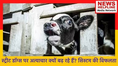 जानवरों पर हिंसा समाज के लिए खतरा, चौंकाने वाली रिपोर्ट!
#AnimalCruelty #AnimalCrueltyIndia #CommunityDogs #StreetDogsI...