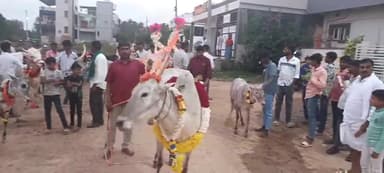 ಮಳವಳ್ಳಿ: ಮಳವಳ್ಳಿ ಪಟ್ಟಣ ಹಾಗೂ ತಾಲ್ಲೂಕಿನಾಧ್ಯಂತ ಸಡಗರ ಸಂಭ್ರಮದಿಂದ ನಡೆದ ಸಂಕ್ರಾಂತಿ ಸಂಭ್ರಮ