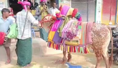 తుంగతుర్తి: తుంగతుర్తి వీధుల్లో 'డూడూ బసవన్న' సందడి