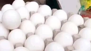 బనగానపల్లెలో ఓ పాఠశాలలో 25 వేల కోడిగుడ్లు గల్లంతు