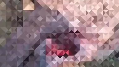 जालौन: अलाईपुरा गांव में खेत के पास घायल अवस्था में मिली नील गाय, मौत के बाद हुआ पोस्टमार्टम