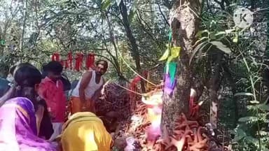 জয়পুর: জয়পুর খামাড়মুড়াতে পুজো দিতে মানুষের সমাগম