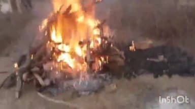 त्योंथर: मदरो में करंट से नीलगाय की मौत, जंगल विभाग ने किया अंतिम संस्कार, वीडियो वायरल