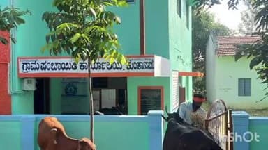 ಕಡೂರು: ನರೇಗಾ ಹಣ ಪಾವತಿ ವಿಳಂಬ, ಕುಂಕಾನಾಡು ಗ್ರಾ.ಪಂ. ಕಚೇರಿ ಆವರಣದಲ್ಲಿ ದನ ಕಟ್ಟಿ ಪ್ರೊಟೆಸ್ಟ್.!