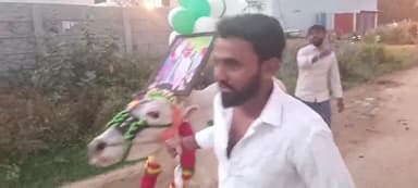 ಮಳವಳ್ಳಿ: ಸಂಕ್ರಾಂತಿ ಸಂಭ್ರಮದ ನಡುವೆ ರಾಸುಗಳಿಗೆ ಪಕ್ಷದ ನಾಯಕರ ಭಾವಚಿತ್ರ ಕಟ್ಟಿ ಪಕ್ಷದ ಮೇಲಿನ ಅಭಿಮಾನ ಮೆರೆದ ಜೆಡಿಎಸ್ ಮುಖಂಡ