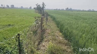 ग्राम गूलरपूरा में दबंगों द्वारा शासकीय रास्ते पर कब्जा, किसान परेशान