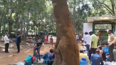 ಸೂಪಾ: ಮಕರ ಸಂಕ್ರಾಂತಿ ನಿಮಿತ್ತ ಮೌಳಂಗಿ ಇಕೋ ಪಾರ್ಕಿಗೆ ಹರಿದು ಬಂದ ಜನಸಾಗರ