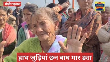 बाडा गांव में ग्रामीण बोड़ी ने लगाई शासन प्रशासन से गुहार। #followersreelsfypシ゚viralシfypシ゚viral #wildanimals #attack #wi...