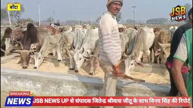 मकर संक्रांति के अवसर पर गौशाला में बंद गौवंशों को खिलाई गई खिचड़ी गुड @JSBNEWSUP
