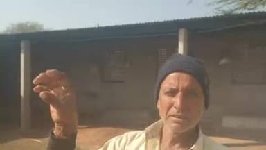 पीपलू: ग्राम बगड़वा में पागल सियार ने पांच लोगों को किया जख्मी