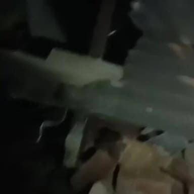 सारठ विधानसभा घर तोड़ के भाई घुस गया दर्दनाक मौत
#तेज रफ्तार बाइक चालक का एक्सीडेंट