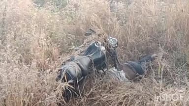 ବୀରମହାରାଜପୁର: କେସଲପୁରା ନିକଟରୁ ଜଣେ ଯୁବକଙ୍କ ମୃତ ଦେହ ପୁଲିସ ଉଦ୍ଧାର କରିଛି,ବାଇକ୍ ଦୁର୍ଘଟଣାରେ ମୃତ୍ୟୁ ସନ୍ଦେହ