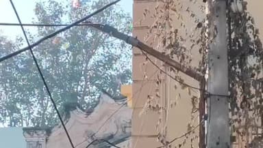 ખેડબ્રહ્મા: તાલુકાના સુરતી કંપા વિસ્તારમાં પતંગની દોરીથી ચાર વર્ષનું બાળક ઘાયલ થતાં સારવાર અર્થે જનરલ હોસ્પિટલમાં ખસેડવામાં આવ્યું