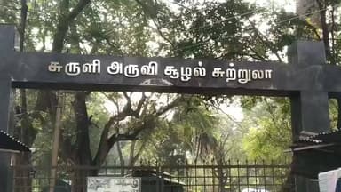 உத்தமபாளையம்: பொங்கல் பண்டிகை, தொடர் விடுமுறையை முன்னிட்டு சுருளி அருகில் சுற்றுலா பயணிகள் வருகை அதிகரிப்பு