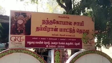உத்தமபாளையம்: மாட்டு பொங்கலை முன்னிட்டு கம்பம் நந்த கோபாலசுவாமி தம்பிரா ன் மாட்டு தொழுவத்தில் காளைகளுக்கு படையல் இட்டு கொண்டாடினர்