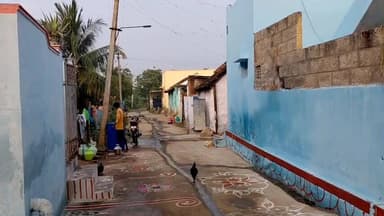 சேரன்மகாதேவி: கோபாலசமுத்திரம் உள்ளிட்ட பகுதிகளில் மாட்டுப்பொங்கல் விழா கோலாகலம். மாடுகள் முன்பு பொங்கல் வைத்து வழிபாடு.