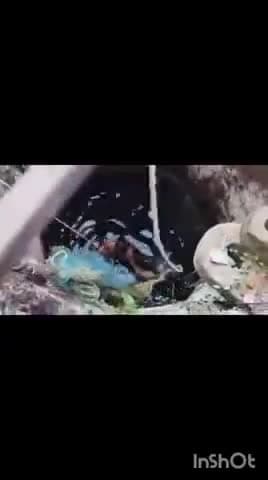 कळमेश्वर: कदमेश्वर मंदिर परिसरात विहिरीत आढळून आला अज्ञात महिलेचा मृतदेह