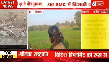 गोंदागांव गौचर भूमि पर माफिया। जहां गौमाताओ को चरना था वहा पड़ा गौमाता का कंकाल। #tranding #shorts #trandingreels #news ...