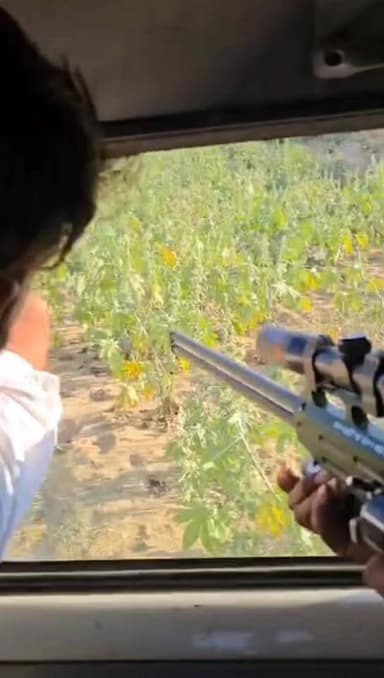 धोरीमन्ना क्षेत्र में आया तेंदुआ, ट्रेंकुलाइज करते ही टीम पर किया अटैक....
#villagelife #village #painter