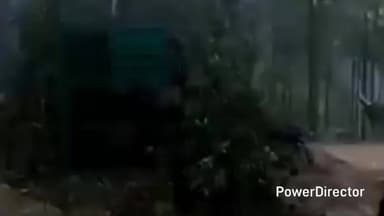 ओखलकांडा: ग्राम पंचायत चमोली के तोक किटोडा में वन विभाग द्वारा लगाए गए पिंजरे में एक तेंदुआ फंसा